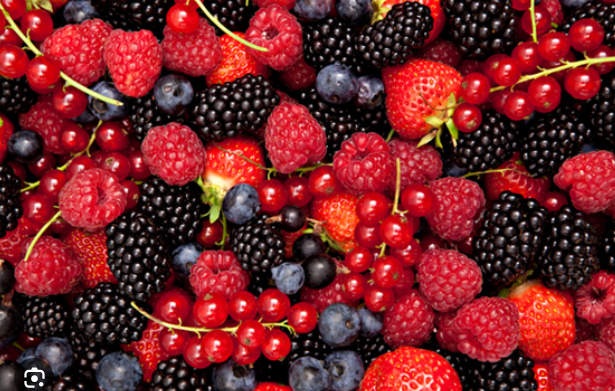 Stay Energized All Day: Smart Snacking for Busy Professionals